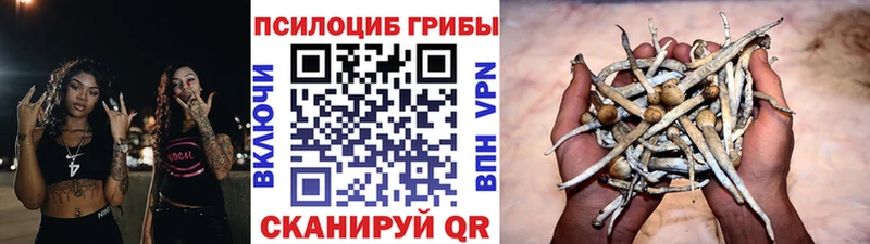 Псилоцибиновые грибы MAGIC MUSHROOMS  blacksprut tor  Ейск 
